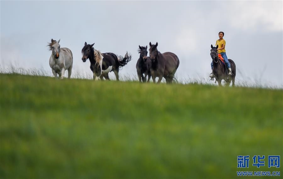 （特別的暑期生活·圖片故事）（5）草原女孩錫林花的暑期“歡樂時(shí)光”