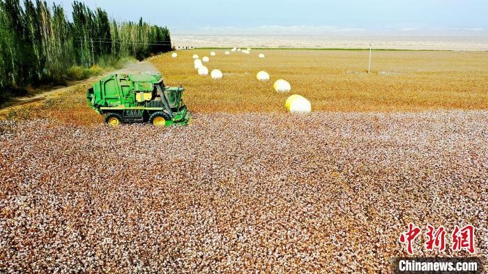 近年來(lái)，當(dāng)?shù)孛藁ǚN植戶的生產(chǎn)生活發(fā)生了翻天覆地的變化?！《?攝