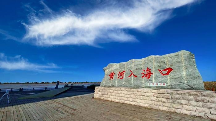 △黃河入?？谖挥谏綎|東營市墾利區(qū)。(總臺(tái)央視記者彭漢明拍攝)