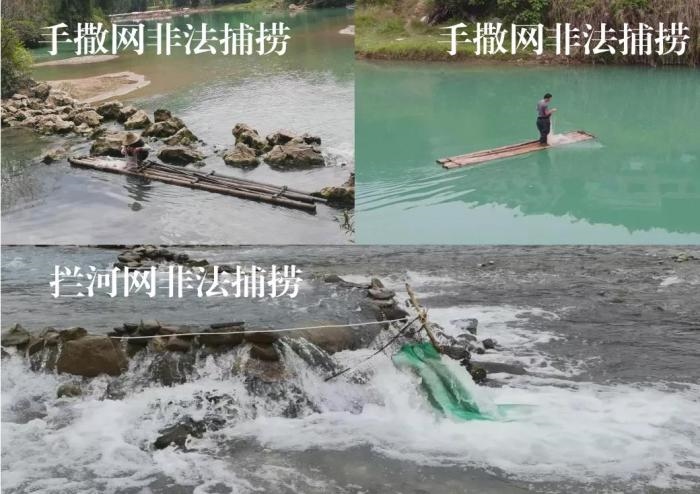 2021年9—10月，前期暗查發(fā)現(xiàn)，保護區(qū)核心區(qū)內(nèi)非法捕撈行為十分猖獗