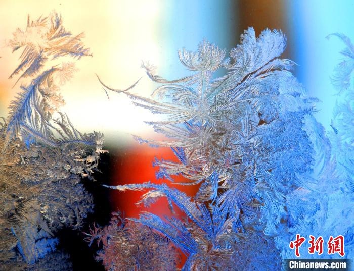 冰窗花千姿百態(tài)。　孫書程 攝