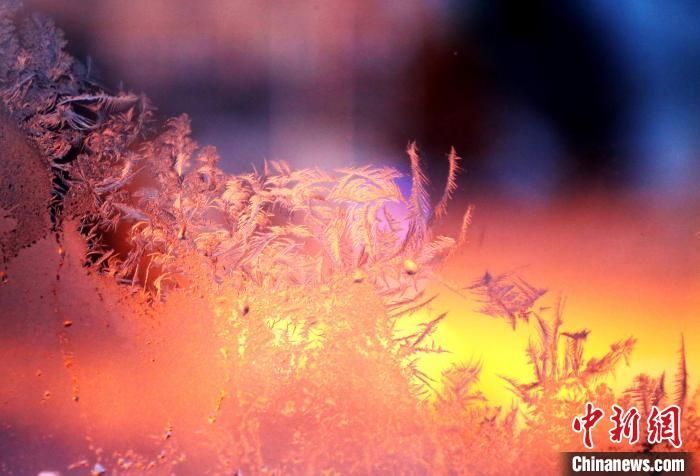 迎著光亮，冰窗花絢麗多姿?！O書程 攝