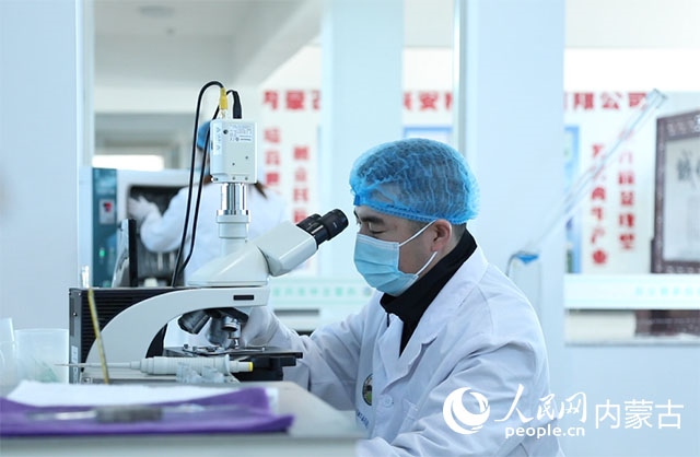 內(nèi)蒙古中農(nóng)興安種牛科技有限公司落戶科右中旗，為肉牛產(chǎn)業(yè)發(fā)展提供了優(yōu)質的種源保障。白俊華攝