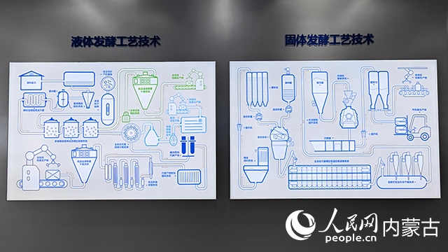 科拓生物工藝技術(shù)展示。人民網(wǎng)記者 張雪冬攝