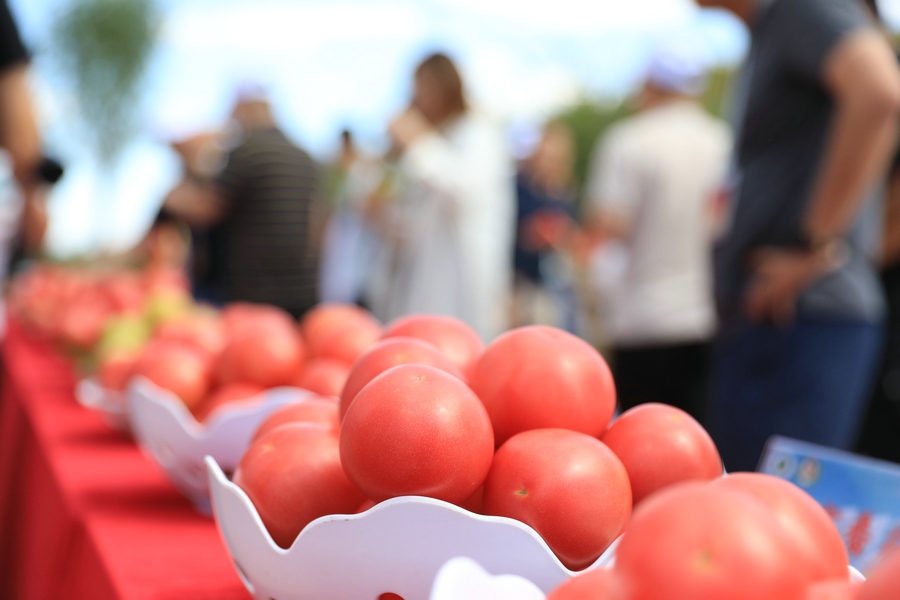 1597161148171708.jpg 7O5A0870.JPG