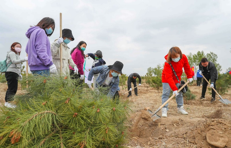 1619366618382423.jpg 1619342395430354.jpg