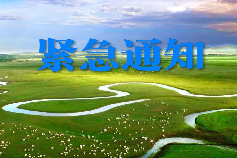 1645149081545212.jpeg 9416524a69ea4ffe8e3ea7d09a38d00c.jpeg