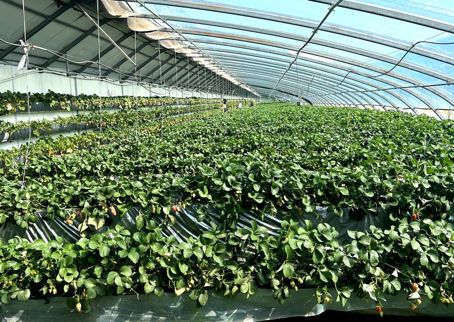 1648810294375882.jpg 微信圖片_20220401184242.jpg