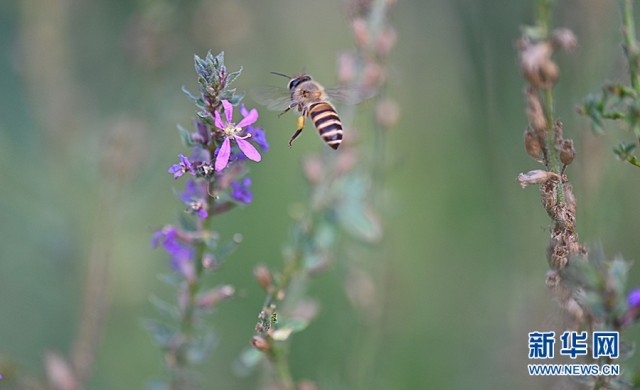 1662607546415084.jpg 00300584740_dfb971cf.jpg