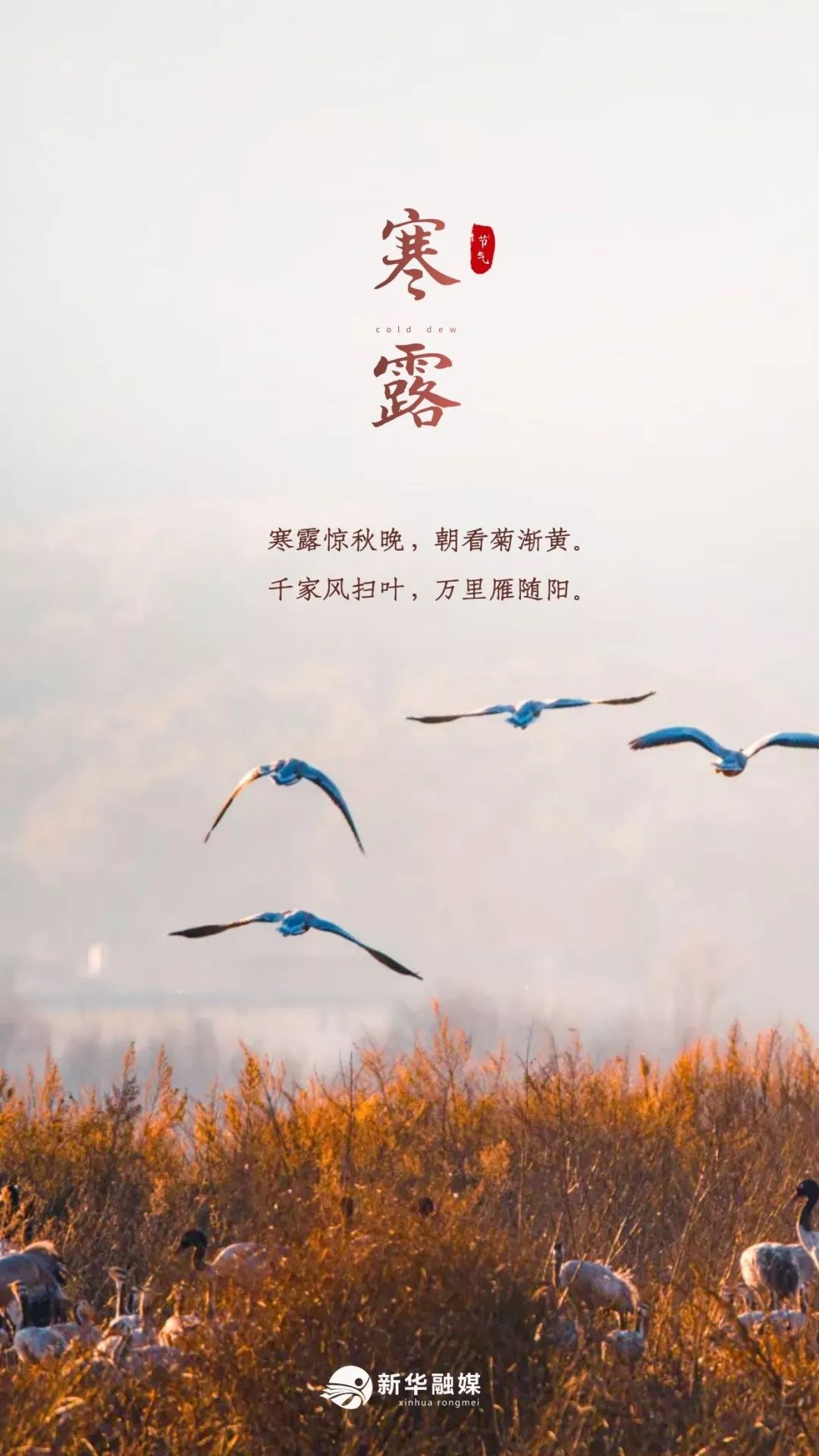 1665219152596248.jpg 微信圖片_20221008165057.jpg