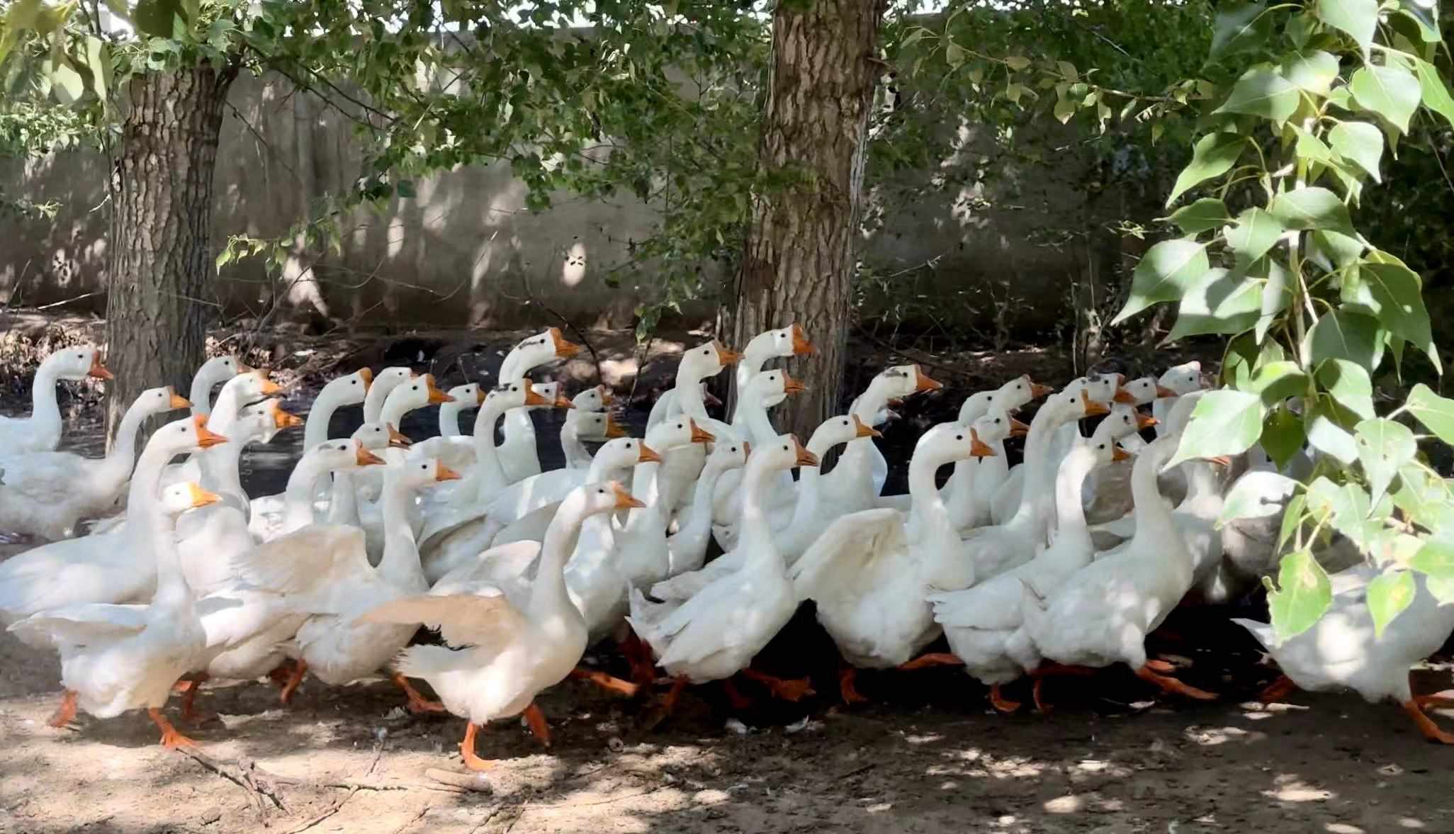 1694442786143941.jpeg 1694442786143941.jpeg