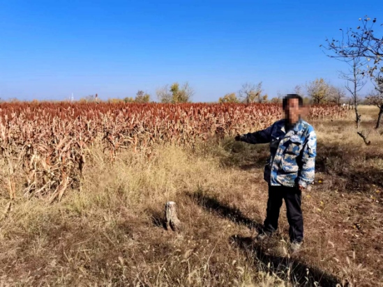 1698138816972087.png 圖片5.png