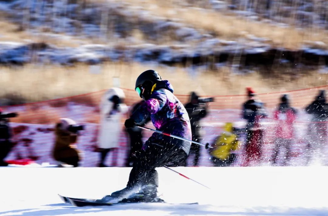 1704185927503988.jpg 周艷光——《風(fēng)馳電掣》.jpg