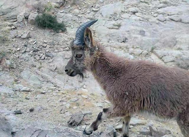 1711009330683344.jpg DM_20240321162114_001.jpg