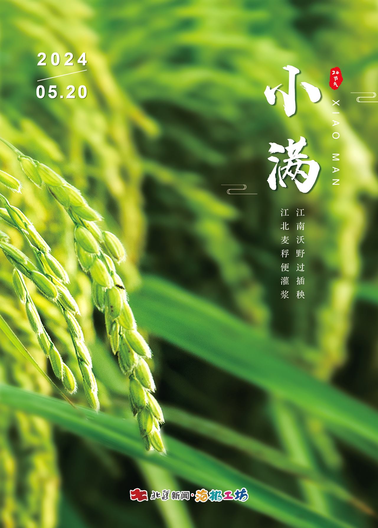 1716470391849060.jpeg 1716470391849060.jpeg