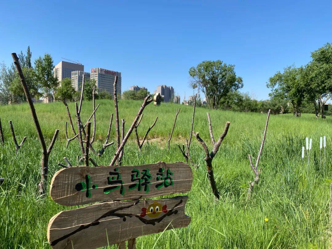 1731424909130558.jpg 04.jpg