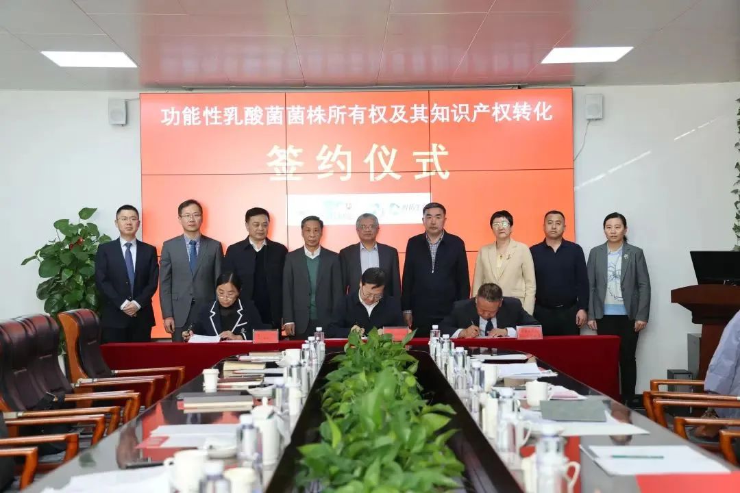 1734509668925914.jpg _DSC2271.JPG