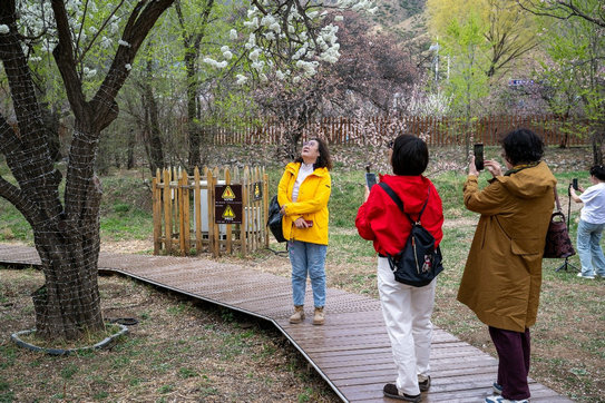 1745657503491293.jpg 參觀4.jpg