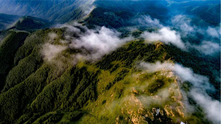 蘇幕山.jpg