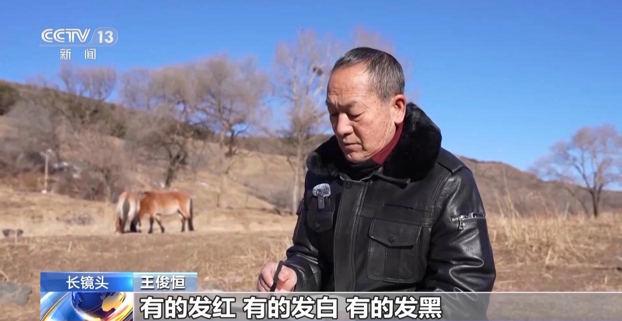 1772594343838947.jpg 004.jpg