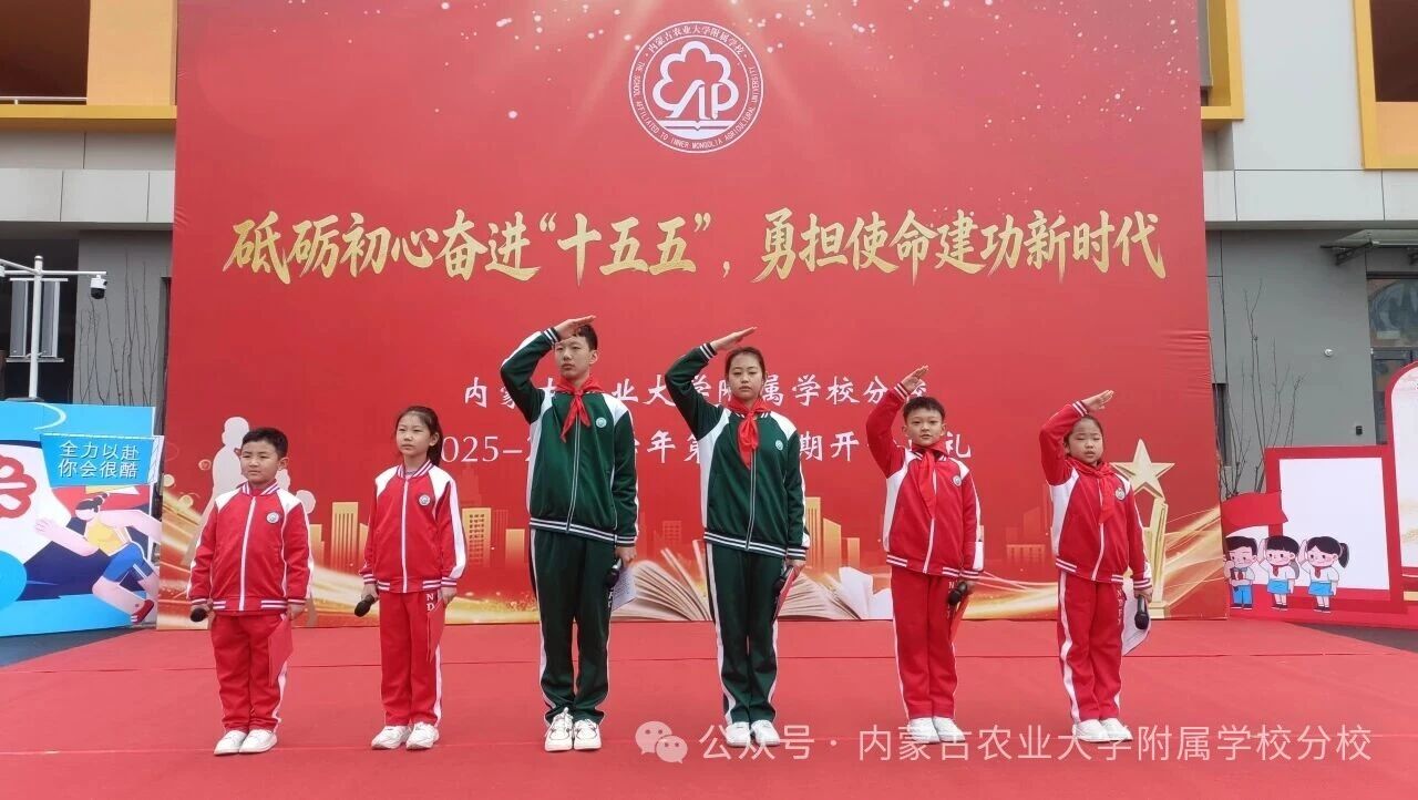 1772682042388318.jpg 1772682042388318.jpg