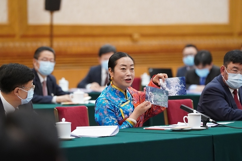 2021年3月7日，習(xí)近平總書記在參加十三屆全國(guó)人大四次會(huì)議青海代表團(tuán)審議時(shí)，全國(guó)人大代表孔慶菊在會(huì)上展示了兩張照片，上面分別是祁連山地區(qū)多年不見(jiàn)蹤跡的雪豹和荒漠貓。