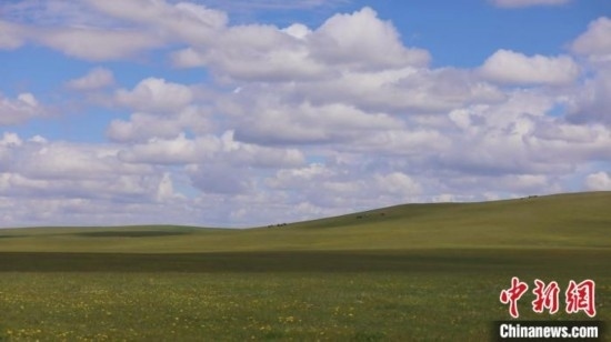 圖為點(diǎn)點(diǎn)新綠在原野上蓄勢(shì)待發(fā)。 歐戈 攝