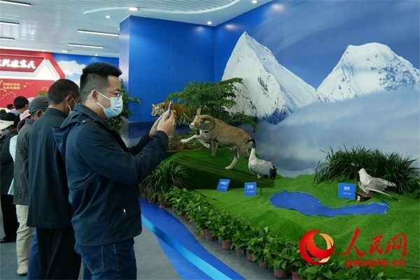 6月17日，觀眾正在觀展。人民網(wǎng) 韋衍行攝