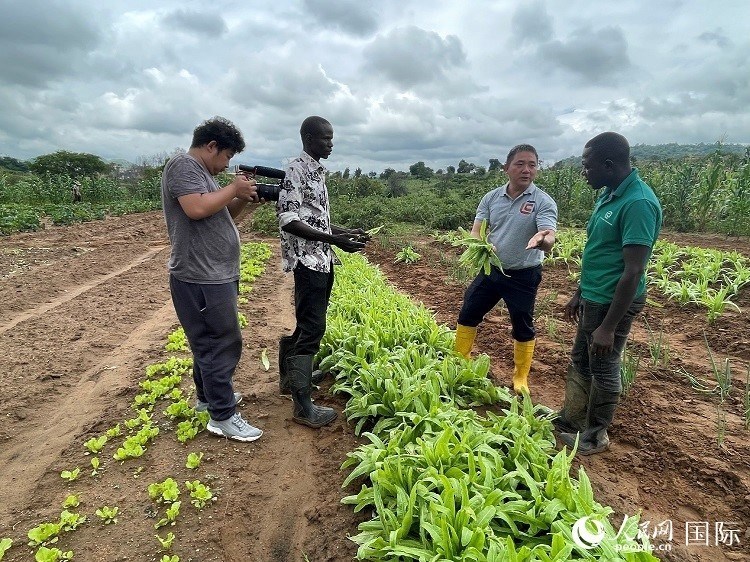 人民網(wǎng)記者走進尼日利亞農(nóng)業(yè)技術(shù)示范中心。人民網(wǎng)記者 趙艷紅攝