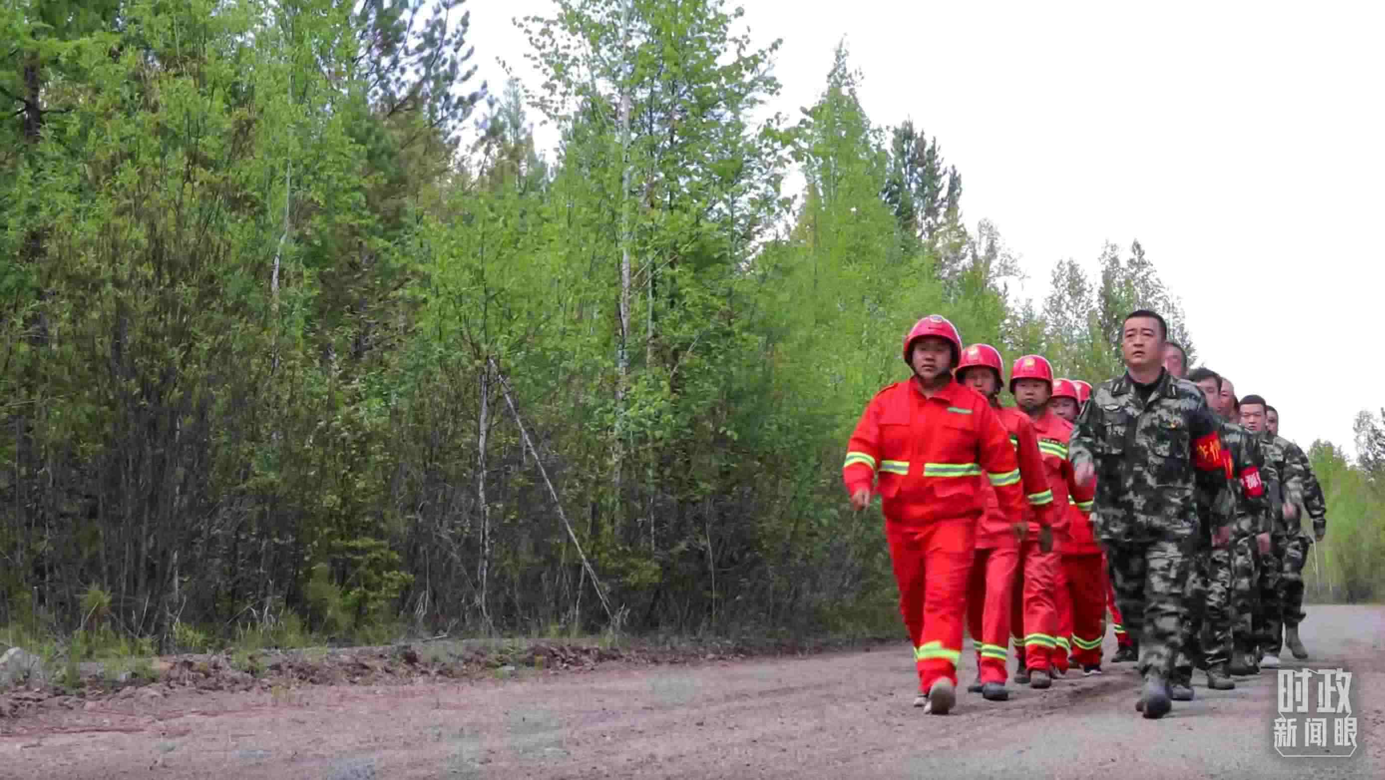 △林場里的森林巡護。