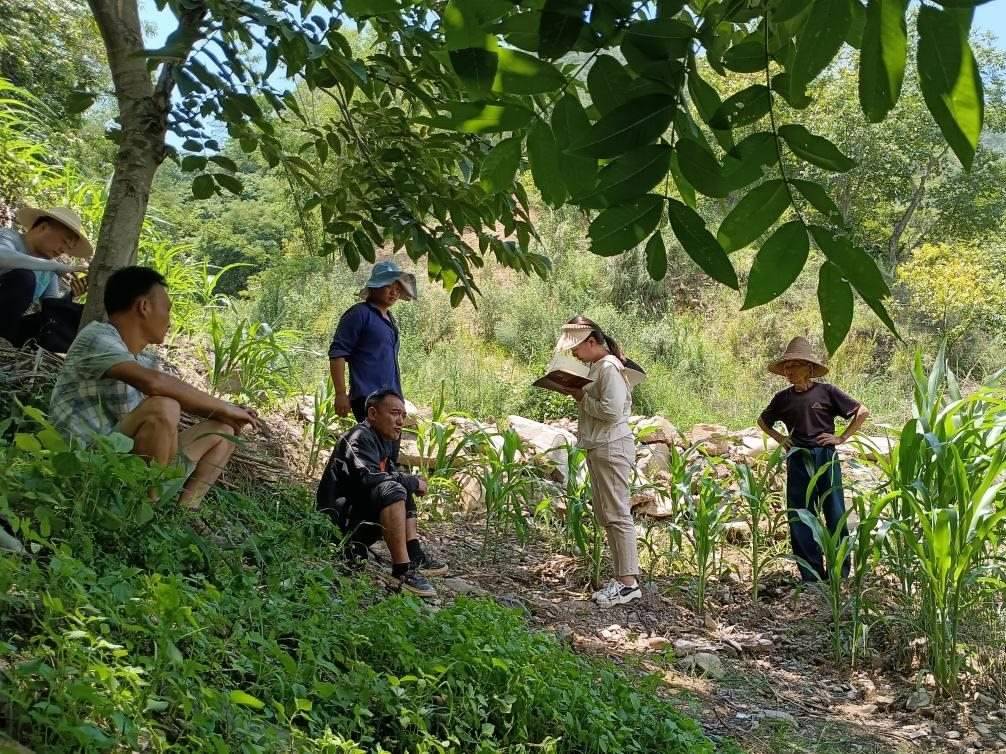 2023年7月18日，兩家村民發(fā)生土地方面的糾紛，李江女（右二）在記錄情況。受訪者供圖