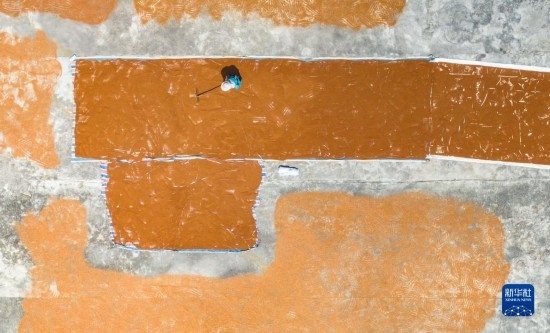 9月16日，農(nóng)民在貴州省安順市西秀區(qū)大西橋鎮(zhèn)吉昌村晾曬高粱（無人機照片）。