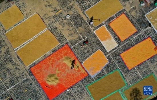 9月16日，貴州省黔東南苗族侗族自治州丹寨縣南皋鄉(xiāng)石橋村村民在晾曬農(nóng)作物（無人機照片）。
