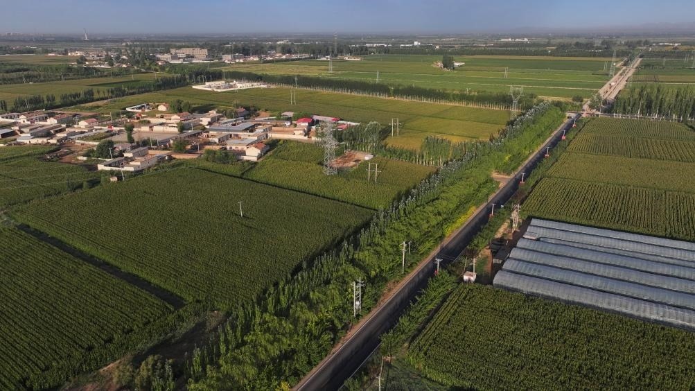 東興村周邊建起防護林網(wǎng)（無人機照片，2023年9月12日攝）。新華社記者李云平 攝