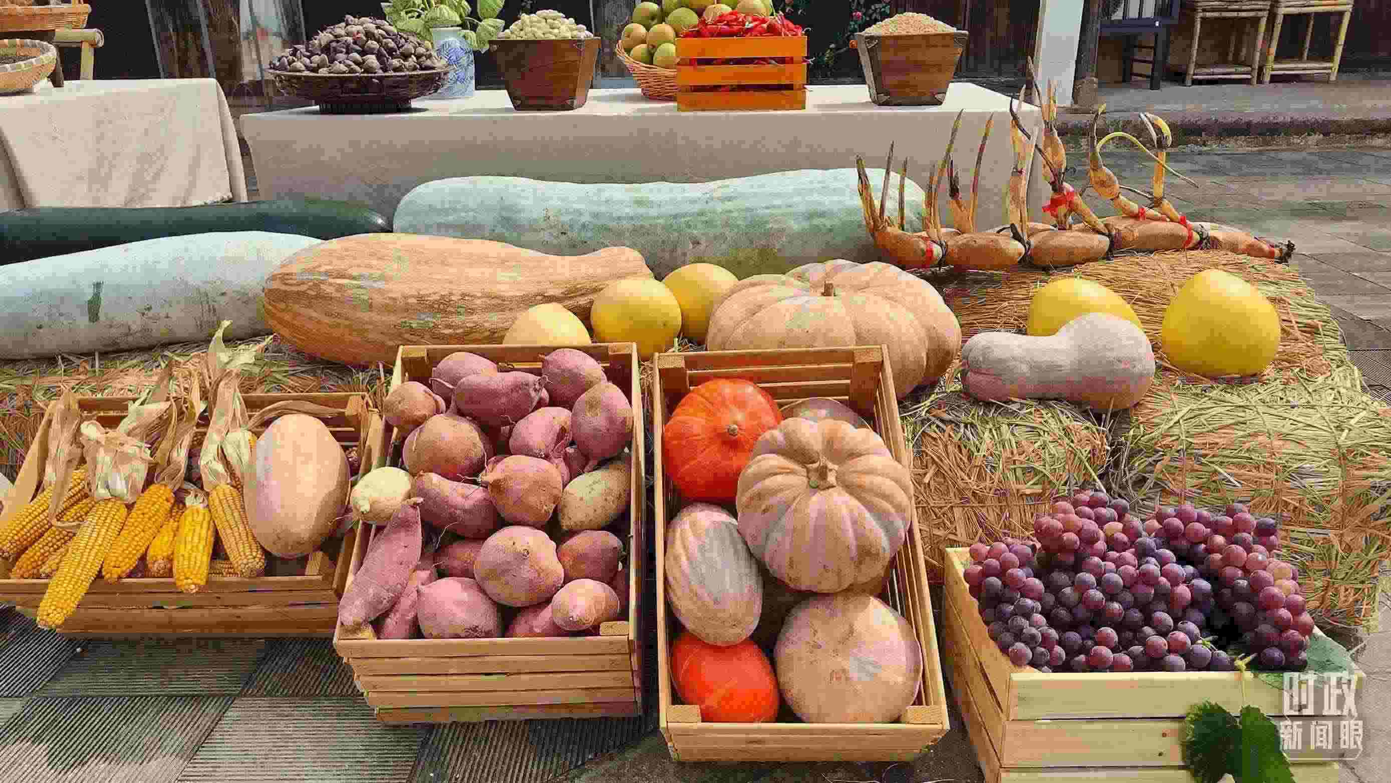 △村廣場(chǎng)“共富市集”，擺放著種類豐富的特色農(nóng)產(chǎn)品。（總臺(tái)央視記者楊立峰拍攝）
