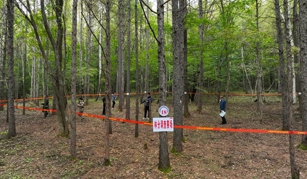 競賽現(xiàn)場。圖片來源：國家林業(yè)和草原局