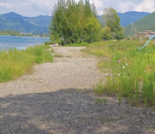 王軍所說被填區(qū)域。 人民網(wǎng)記者 黃鈺攝