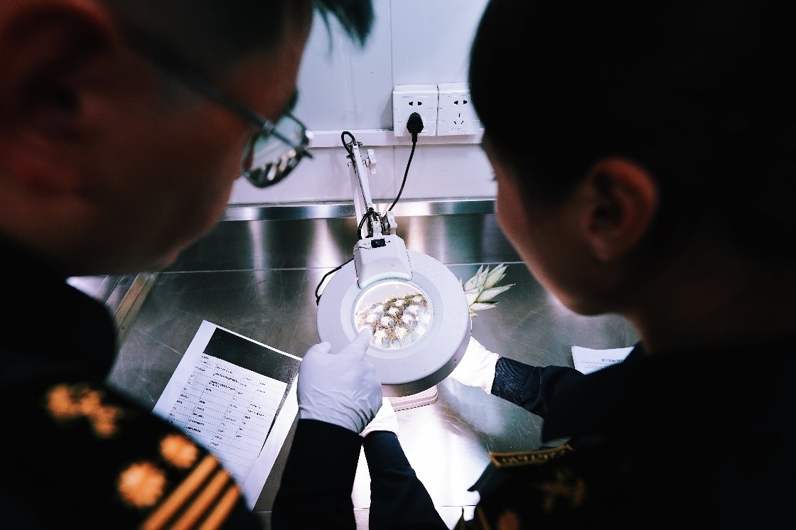 上海海關(guān)關(guān)員針對檢疫性有害生物和農(nóng)藥殘留進行檢疫檢驗。陳興洲攝