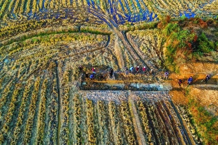 良渚遺址考古發(fā)掘現(xiàn)場。