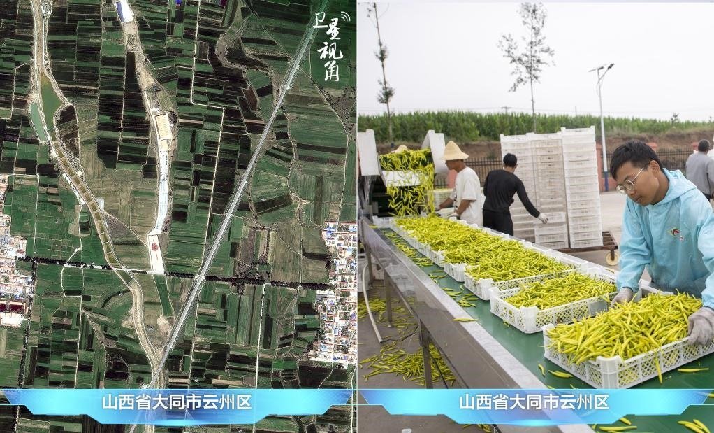 當(dāng)前，大同市開發(fā)黃花菜品、食品、飲品、功能食品、化妝品、文創(chuàng)產(chǎn)品六大系列130余種，全產(chǎn)業(yè)鏈產(chǎn)值超40億元。