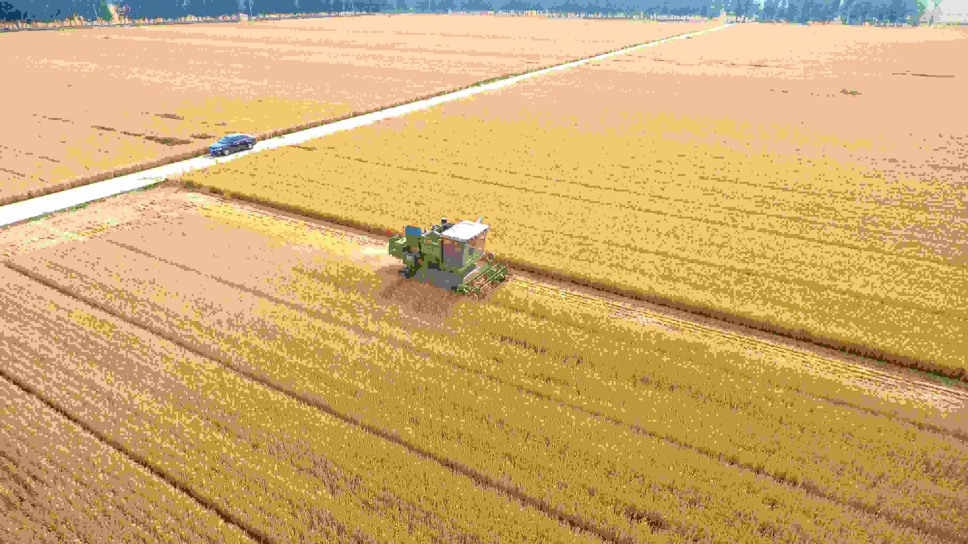 △ 2023年6月5日，山東聊城茌平區(qū)賈寨鎮(zhèn)王藥包村，收割機(jī)在田間進(jìn)行小麥?zhǔn)崭钭鳂I(yè)。