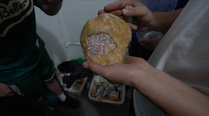 經(jīng)過(guò)“開窗”上色的“翡翠原石”（武漢市公安局武昌區(qū)分局供圖）