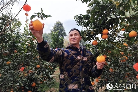 鐵牛村村民趙光進(jìn)。人民網(wǎng)記者 朱虹攝