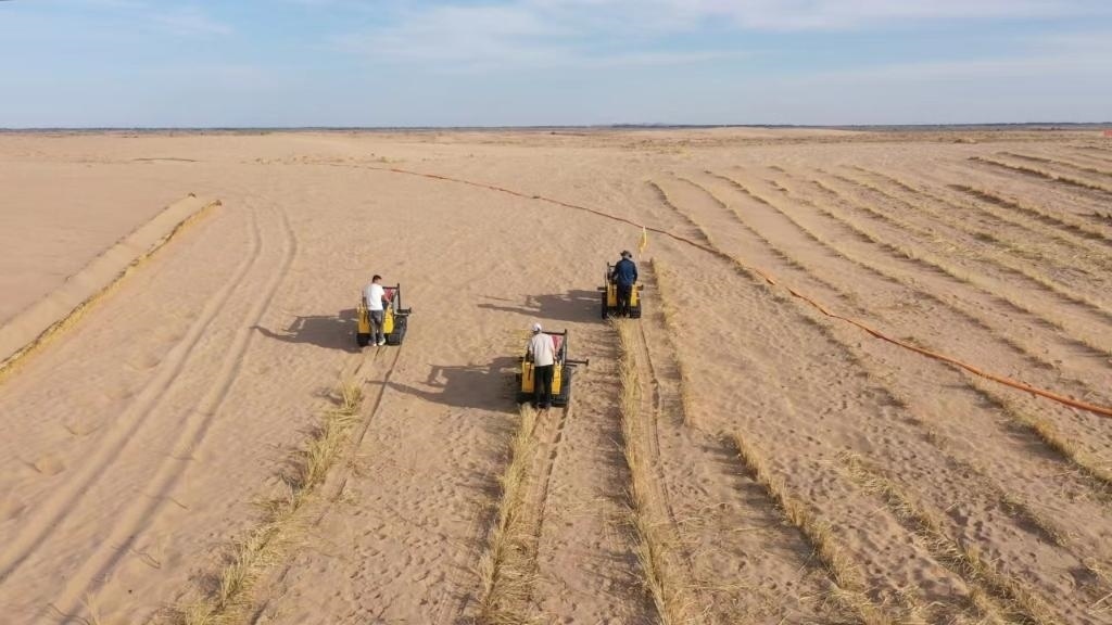 內(nèi)蒙古巴彥淖爾市烏拉特后旗西補隆林業(yè)管護中心職工駕駛機械鋪設(shè)壓沙障。新華社記者 李云平 攝