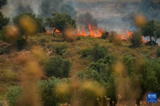 6月12日，以色列北部加利利地區(qū)遭受火箭彈襲擊后冒出滾滾濃煙。新華社發(fā)（阿亞爾·馬戈林?jǐn)z/基尼圖片社）