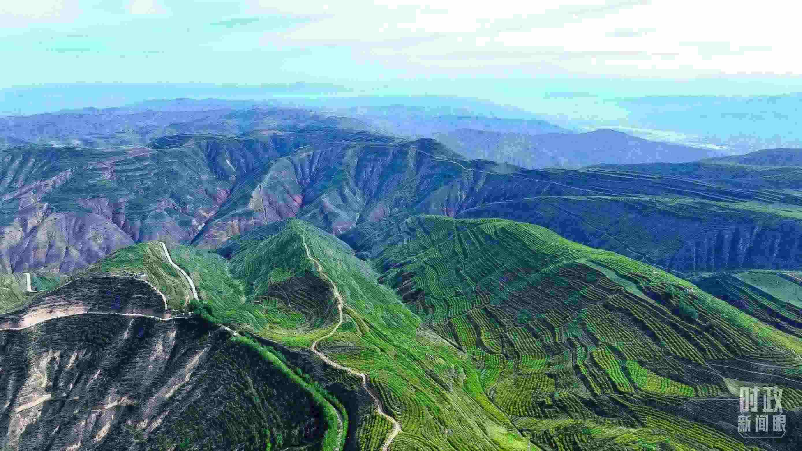 △青海西寧。（總臺記者柳成拍攝）