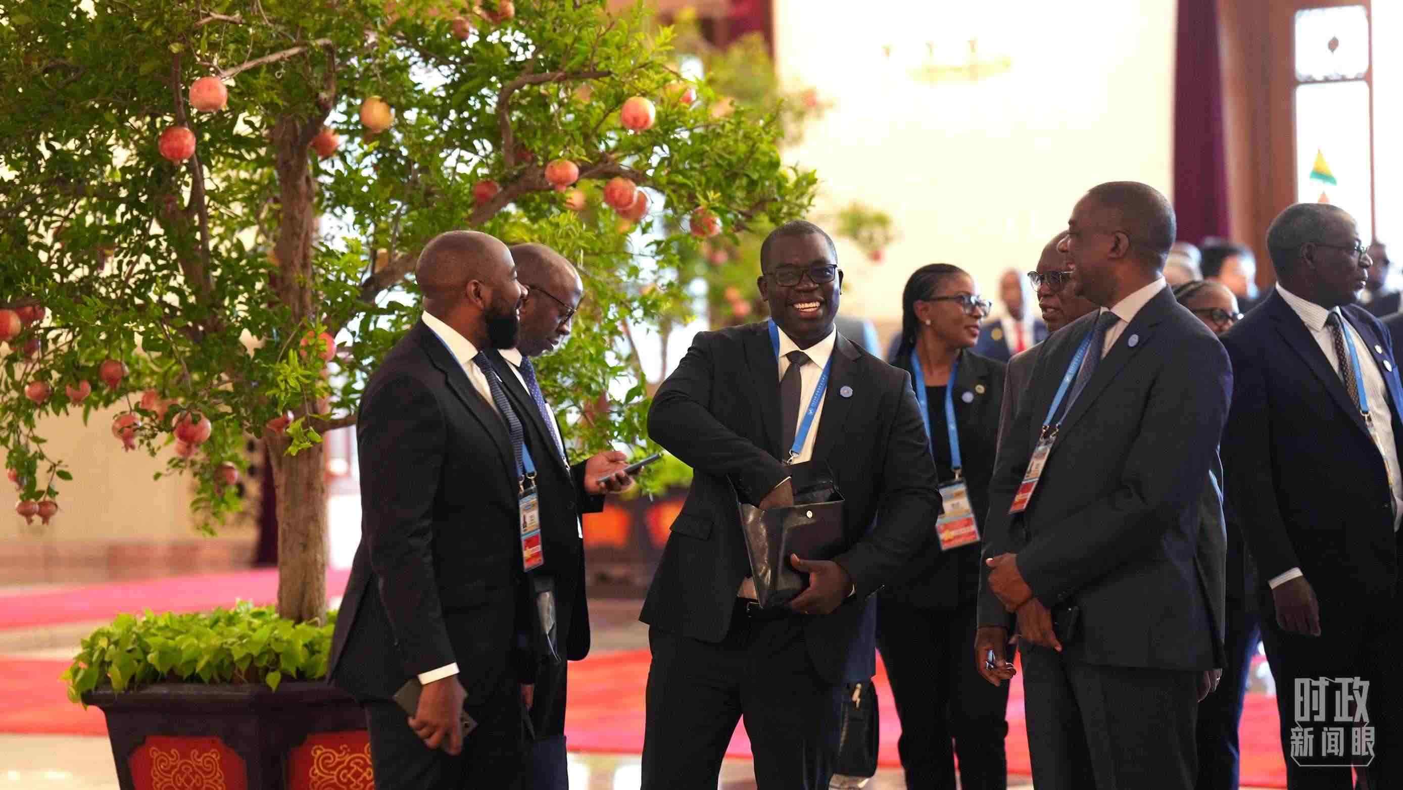 出席中非合作論壇北京峰會的非洲國家代表。（總臺記者李晉拍攝）