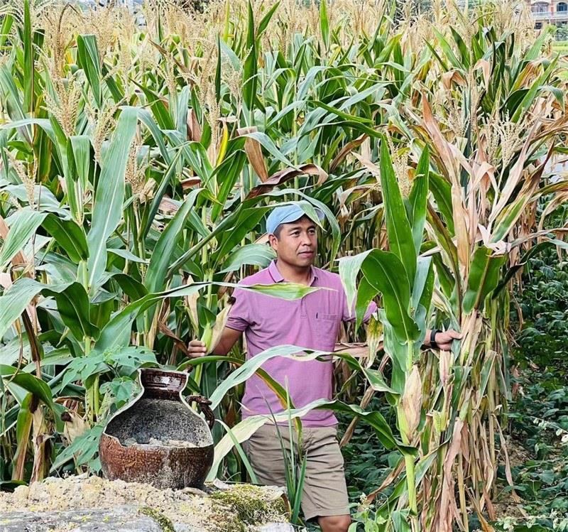 不是攀登石林高臺(tái)，就是鉆入玉米莊稼地，吉爾吉斯斯坦《自由之山報(bào)》總編輯納拉雷·阿桑巴耶夫“身手不凡”，與生長(zhǎng)旺盛的玉米構(gòu)成了花茂村的鄉(xiāng)間野趣。（張亞欣攝）
