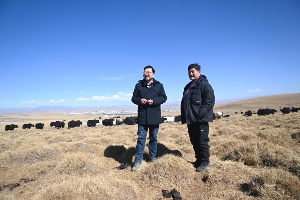 2023年2月24日，在青海省海北藏族自治州海晏縣青海湖鄉(xiāng)達玉日秀村，全國人大代表董全民（左）查看牧民東知布家的草場。新華社記者 張龍 攝