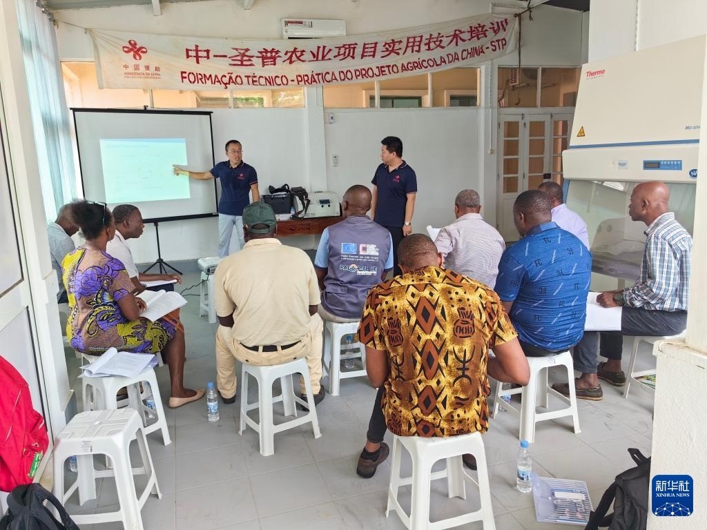 中國援圣普農(nóng)牧業(yè)技術(shù)項(xiàng)目組專家段振華（后左）在圣多美和普林西比的國家獸醫(yī)實(shí)驗(yàn)室開展動(dòng)物疫病監(jiān)測(cè)技術(shù)培訓(xùn)（2024年6月21日攝）。新華社發(fā)（中國援圣普農(nóng)技組供圖）